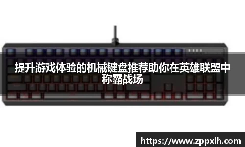 KY体育