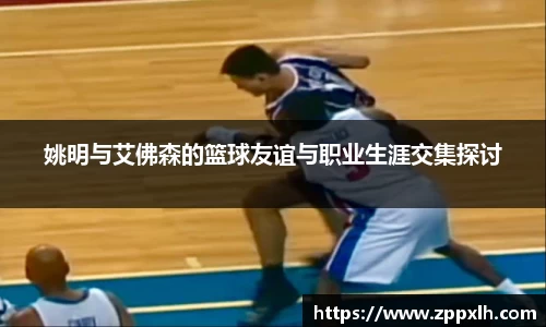 KY体育官方网站