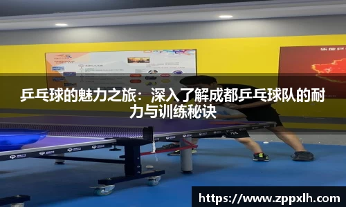 乒乓球的魅力之旅：深入了解成都乒乓球队的耐力与训练秘诀