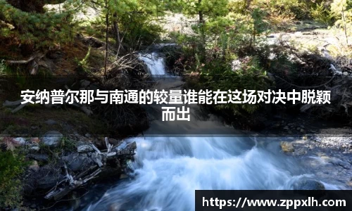 KY体育官方网站